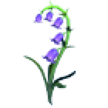 Bluebell Flower