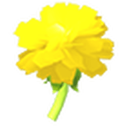 Golden Dandelion
