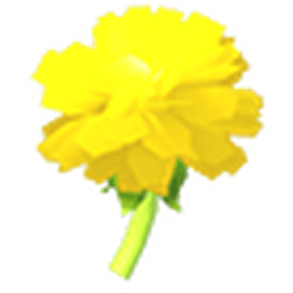 Golden Dandelion