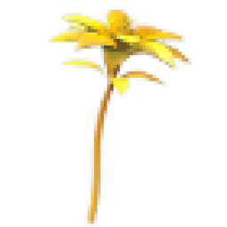 Golden Petunia