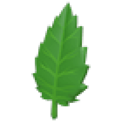 Leaf