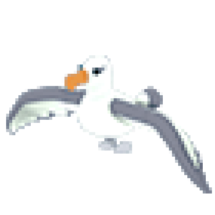 Albatross