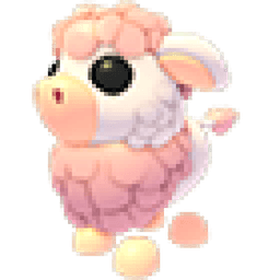 Angus Cow