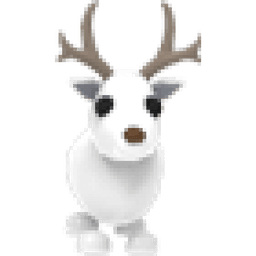 Arctic Reindeer