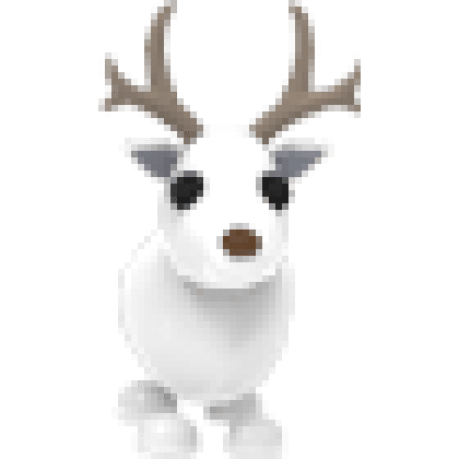 Arctic Reindeer