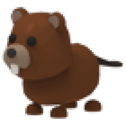 Beaver