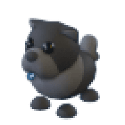 Black Chow-Chow