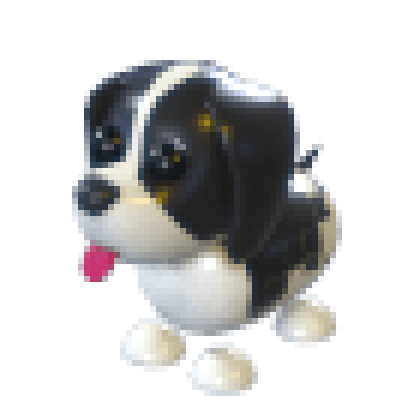 Black Springer Spaniel