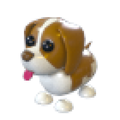 Brown Springer Spaniel