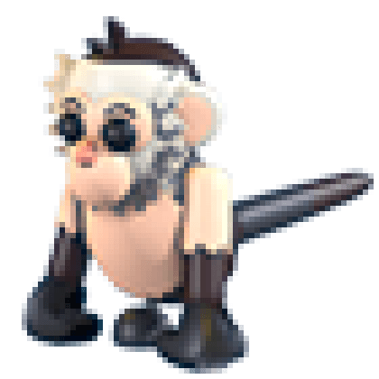 Capuchin Monkey