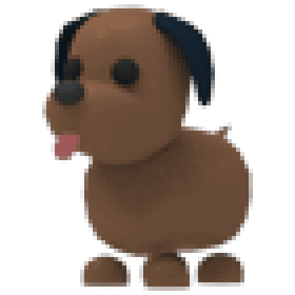 Chocolate Labrador