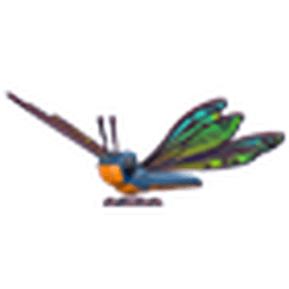 Clubtail Dragonfly