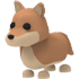 Dingo