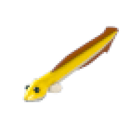 Eel