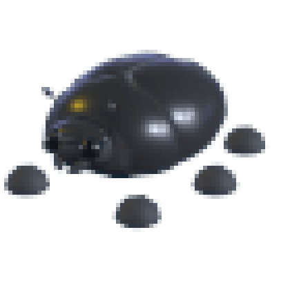 Giant Black Scarab