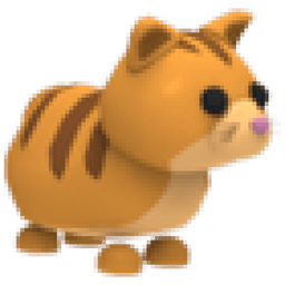 Ginger Cat