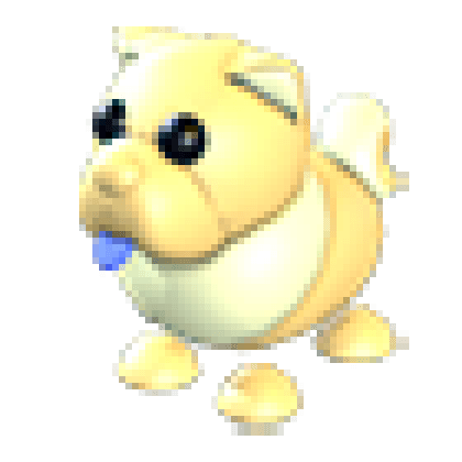 Golden Chow-Chow
