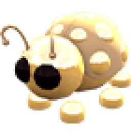 Golden Ladybug