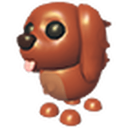 Irish Setter