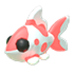 Koi Carp