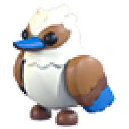 Kookaburra