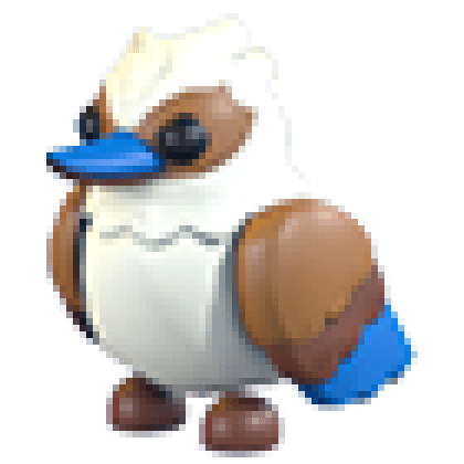 Kookaburra