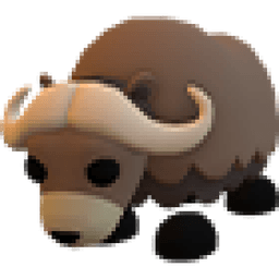 Musk Ox