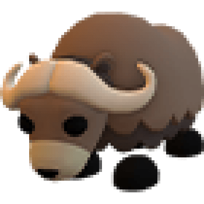 Musk Ox