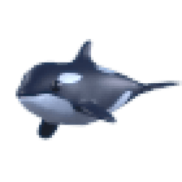 Orca