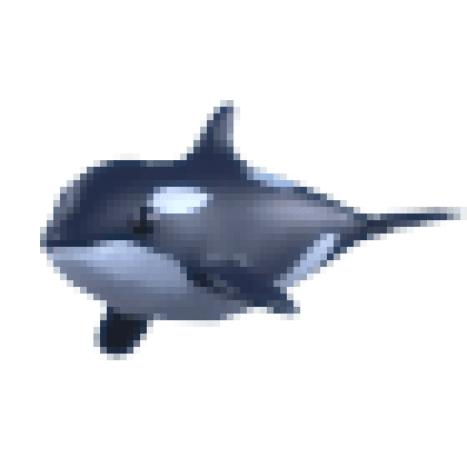 Orca