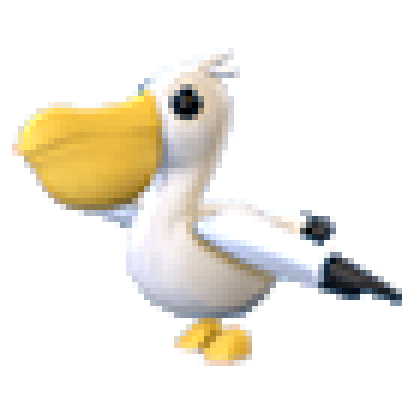 Pelican