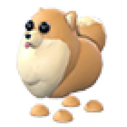 Pomeranian