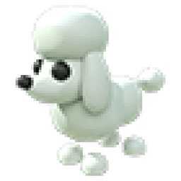 Poodle