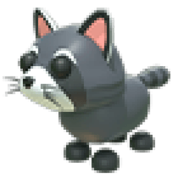 Raccoon