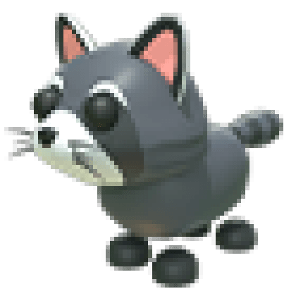 Raccoon