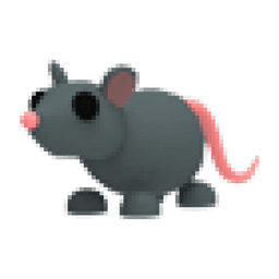 Rat