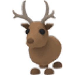 Reindeer