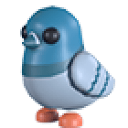 Rock Pigeon