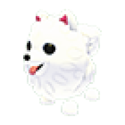 Samoyed