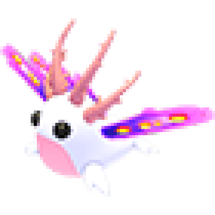 Sea Slug