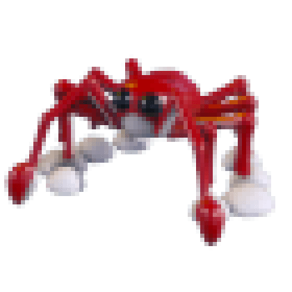 Spider Crab