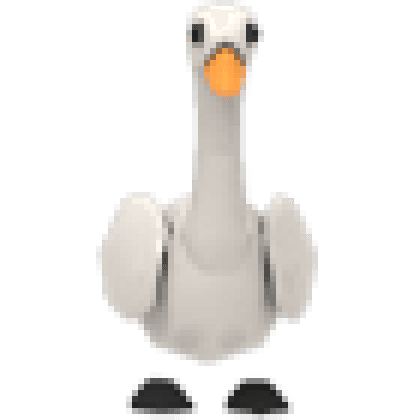 Swan
