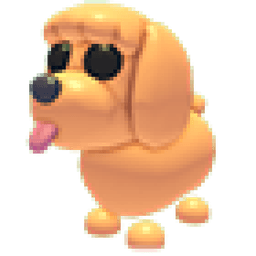 Toy Poodle