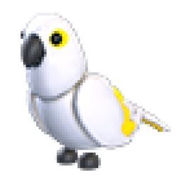 White Amazon