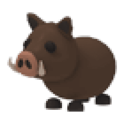 Wild Boar