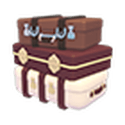 Back Luggage