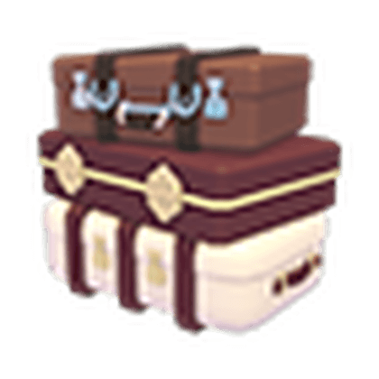 Back Luggage