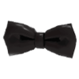 Black Bowtie