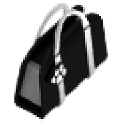 Black Purse