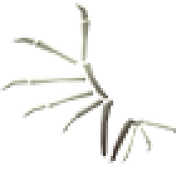 Bone Wings